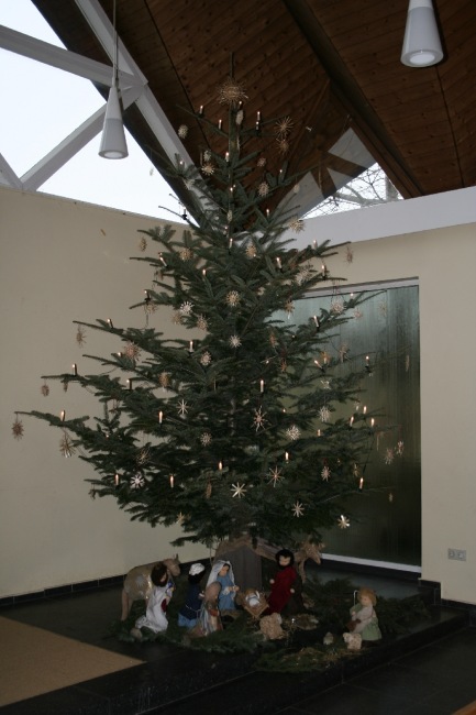 Weihnachtsbaum Steinbach