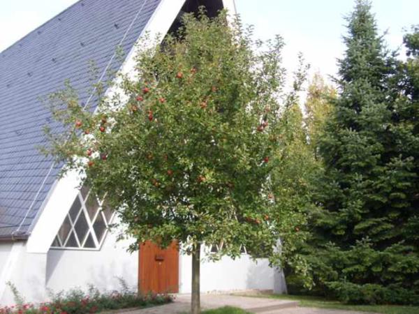 Kirche mit Baum